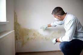 Best Residential Mold Inspection & Testing in San Jacinto, CA